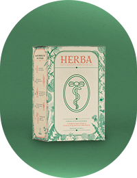 Blend Hierbas XS